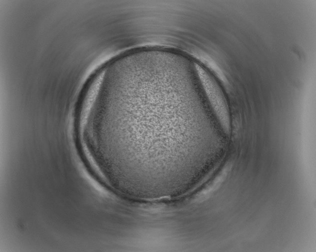 X0000113950991200910091605