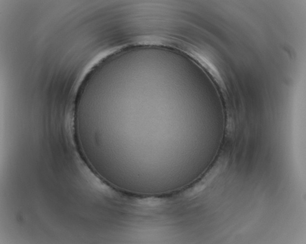 X0000113950992200910091605
