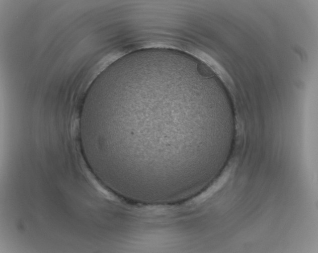 X0000113950993200910091605