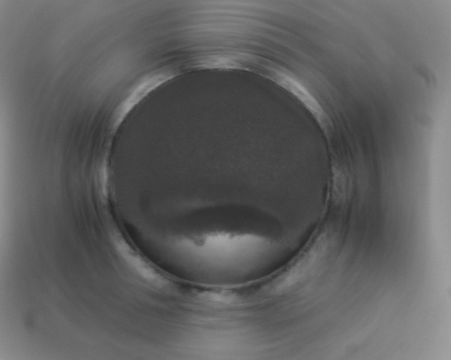 X0000113950994200910091605