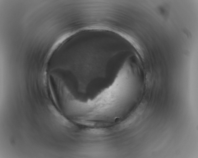 X0000113950998200910091605