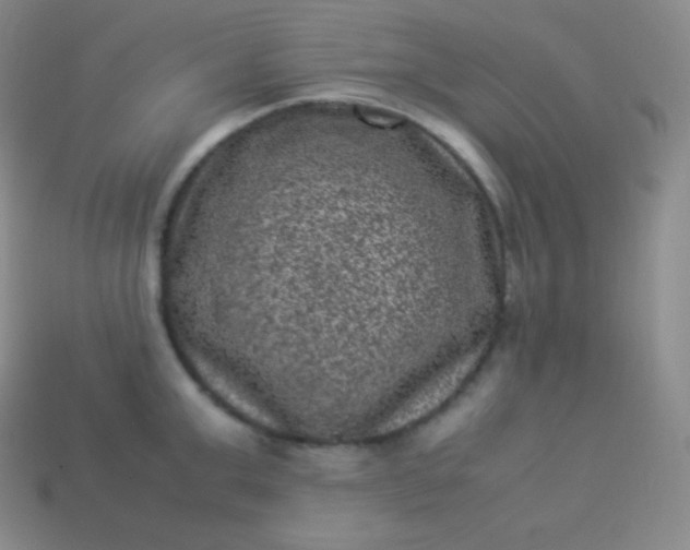 X0000113950999200910091605