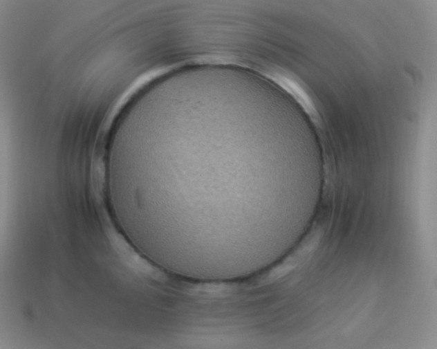 X0000113951000200910091605