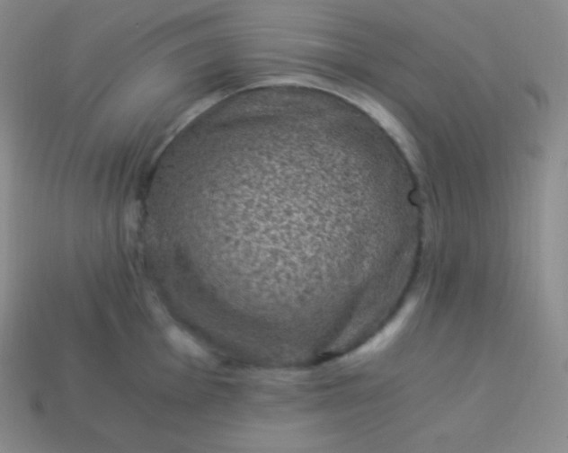 X0000113951001200910091605