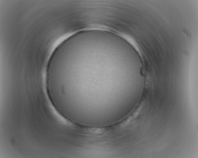 X0000113951003200910091605