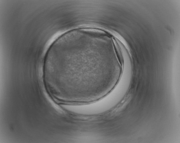 X0000113951005200910091605