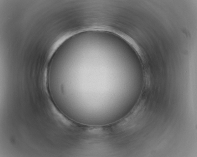 X0000113951006200910091605