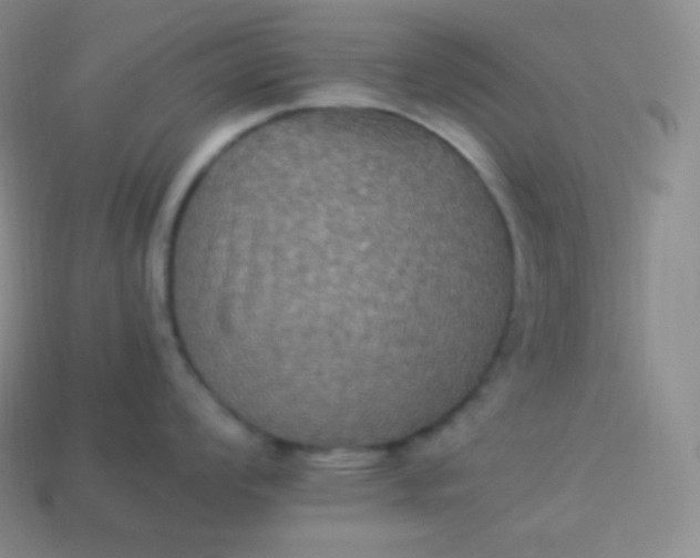 X0000113951008200910091605