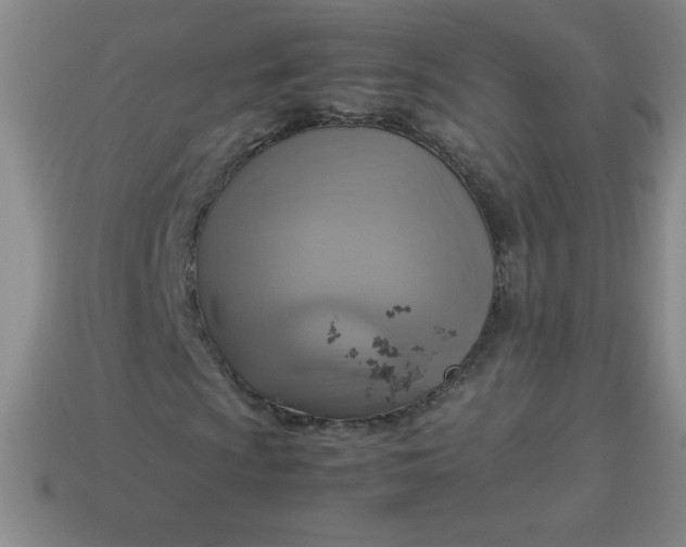 X0000113951009200910091604