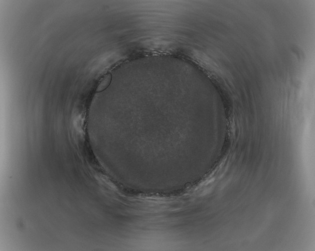 X0000113951010200910091604