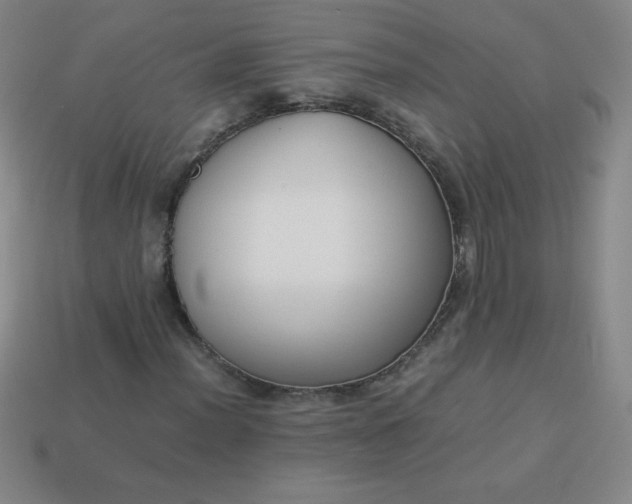 X0000113951012200910091604