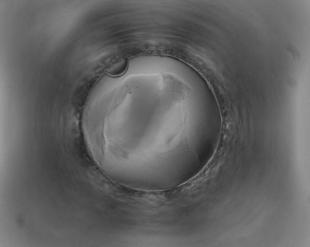 X0000113951013200910091604