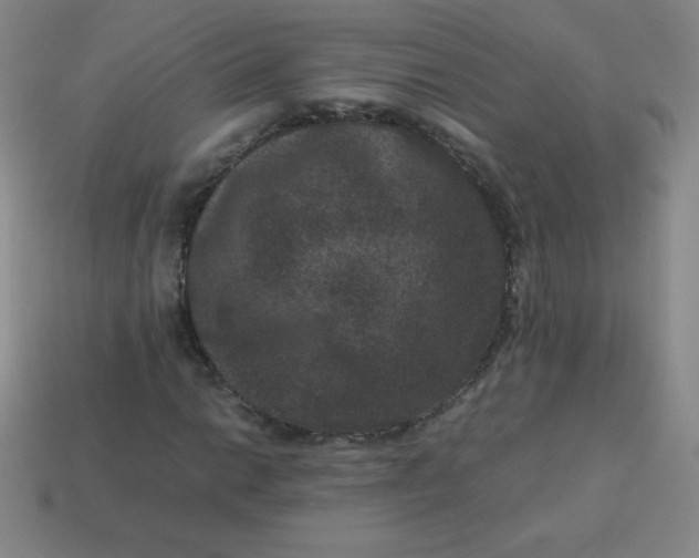 X0000113951014200910091604