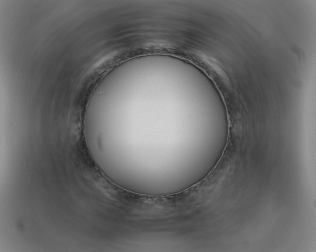 X0000113951015200910091604