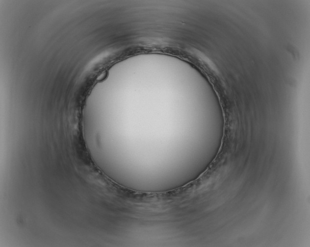 X0000113951016200910091604