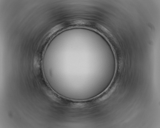 X0000113951017200910091604