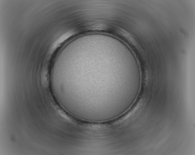 X0000113951018200910091604