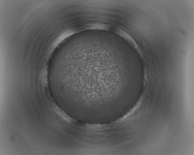 X0000113951019200910091604