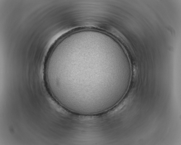 X0000113951020200910091604