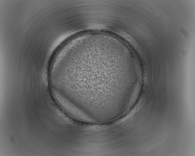 X0000113951022200910091604