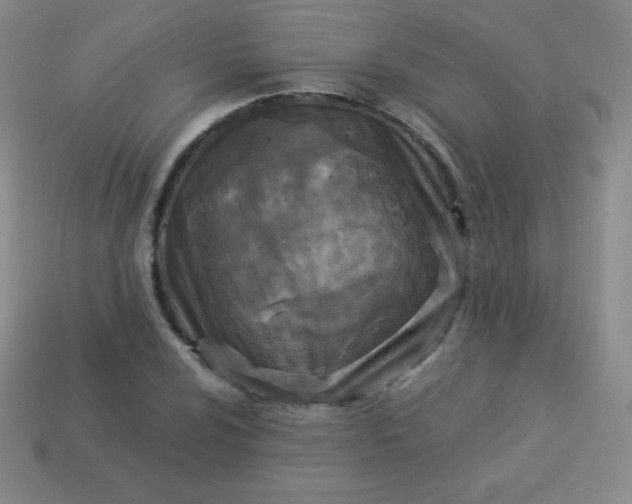 X0000113951024200910091604
