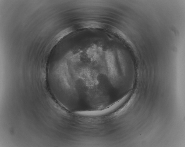 X0000113951025200910091604