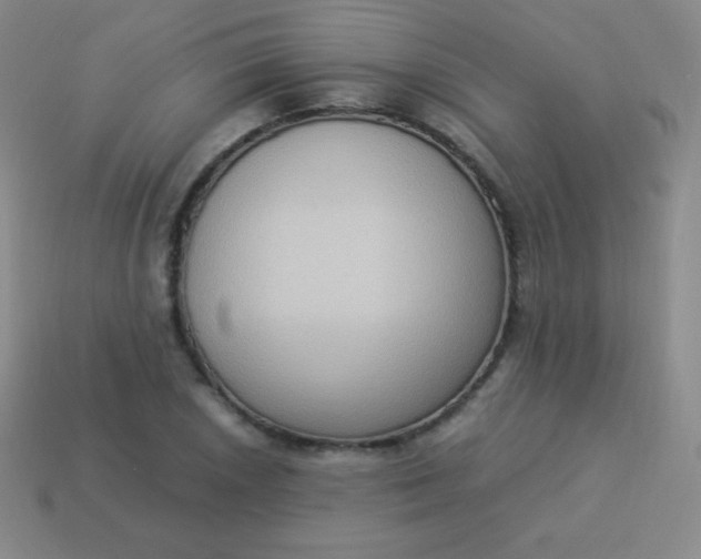 X0000113951026200910091604
