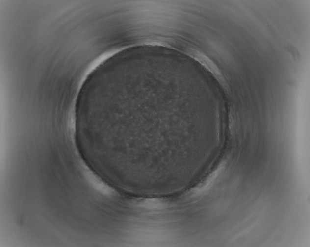 X0000113951028200910091604