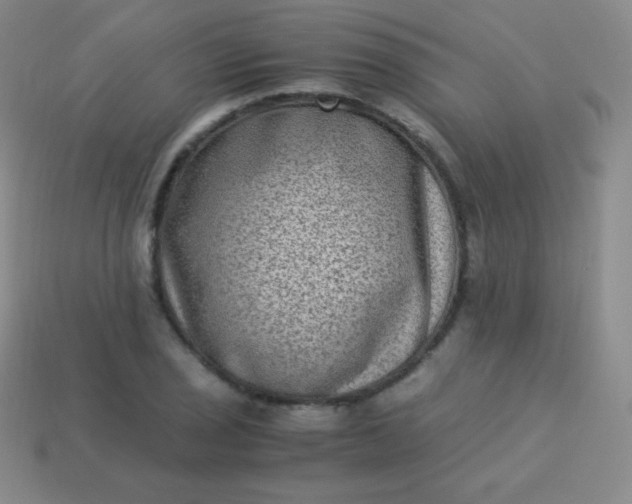 X0000113951029200910091604