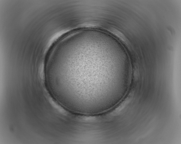 X0000113951030200910091604