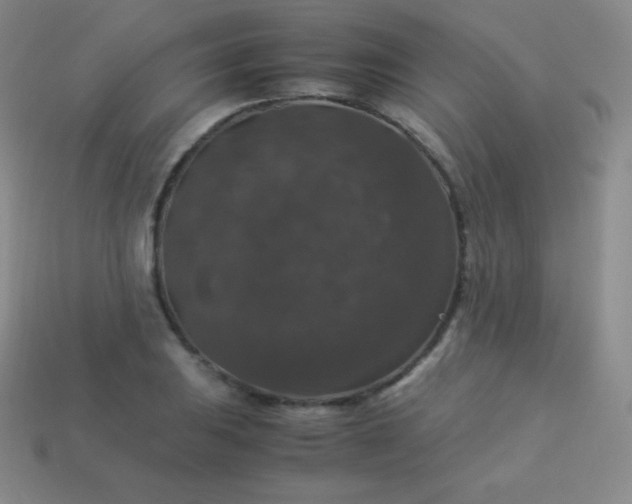 X0000113951031200910091604