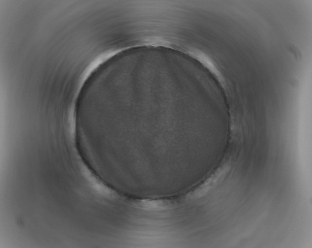 X0000113951032200910091604