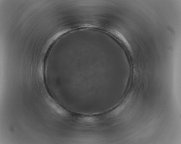 X0000113951035200910091604