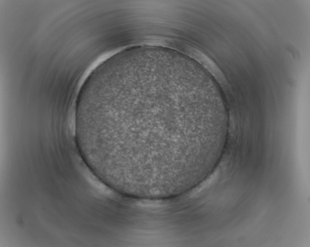 X0000113951036200910091604