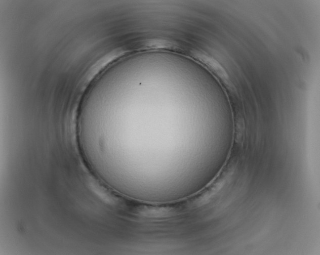 X0000113951039200910091604
