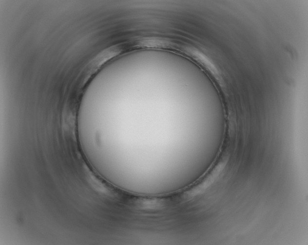 X0000113951041200910091604