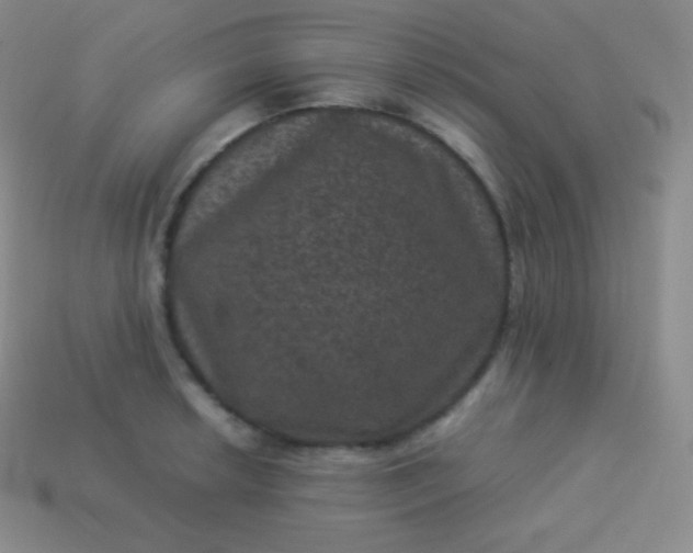 X0000113951042200910091604