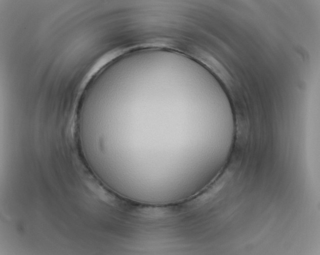X0000113951044200910091604