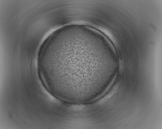 X0000113951046200910091604