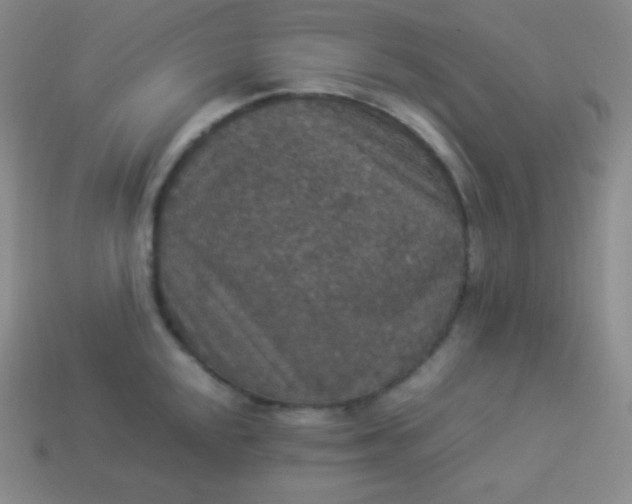 X0000113951048200910091604