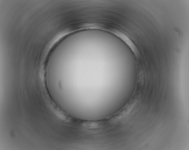 X0000113951051200910091604