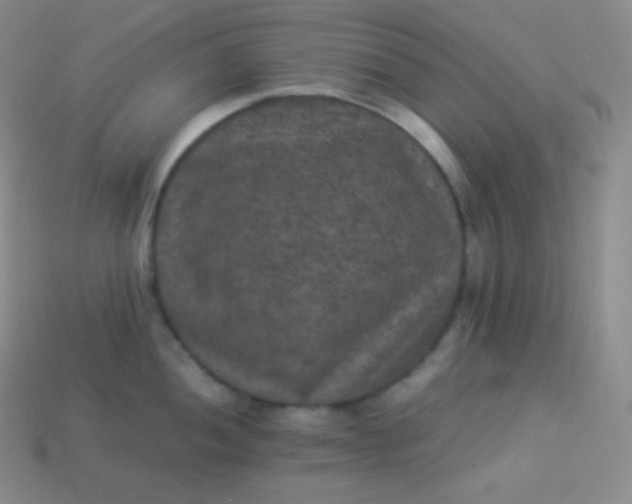 X0000113951052200910091605