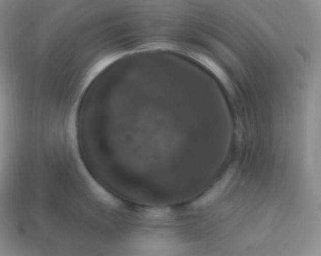 X0000113951055200910091605