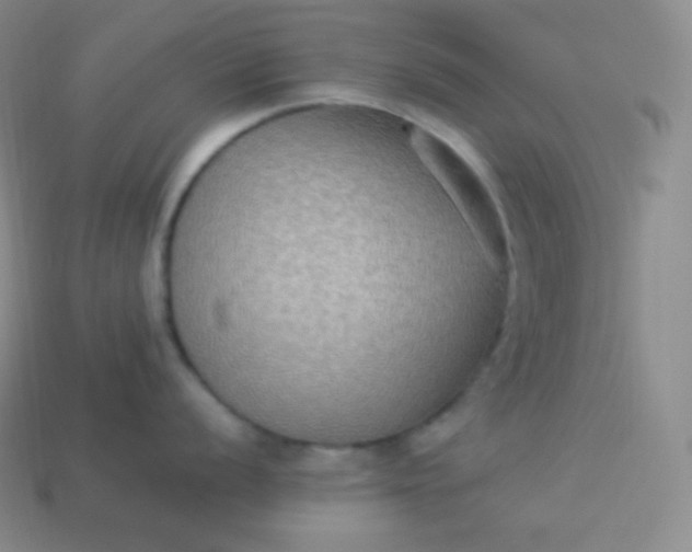 X0000113951056200910091605