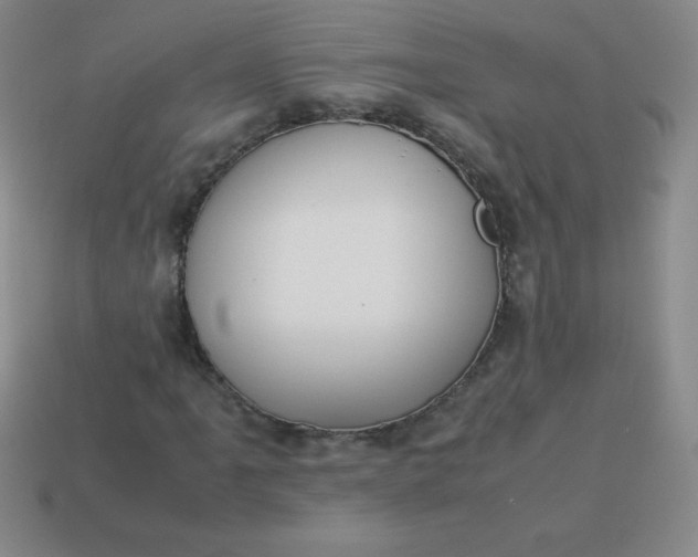 X0000113951061200910091604