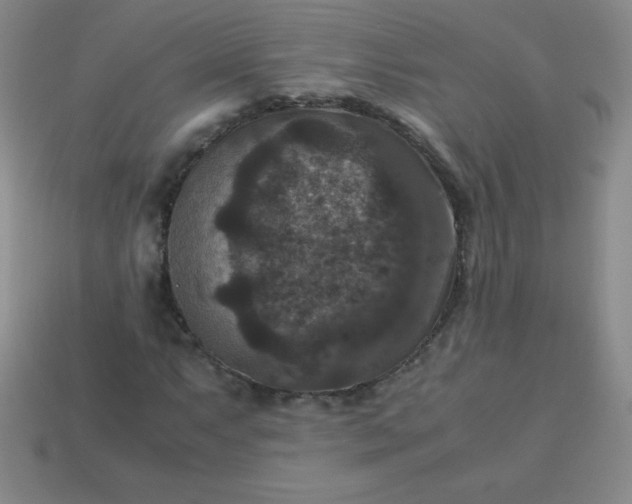 X0000113951063200910091604