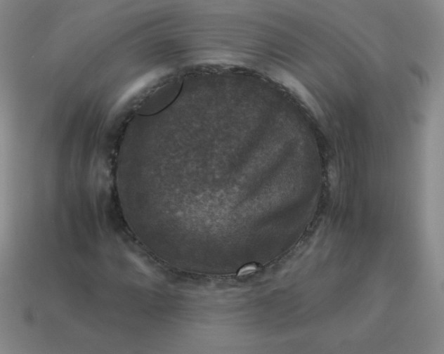 X0000113951064200910091604