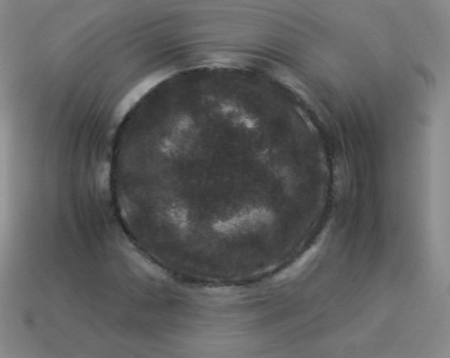 X0000113951066200910091604