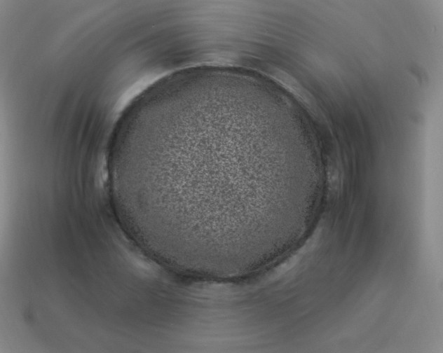 X0000113951070200910091604