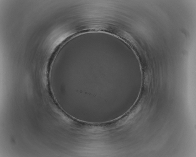 X0000113951071200910091604